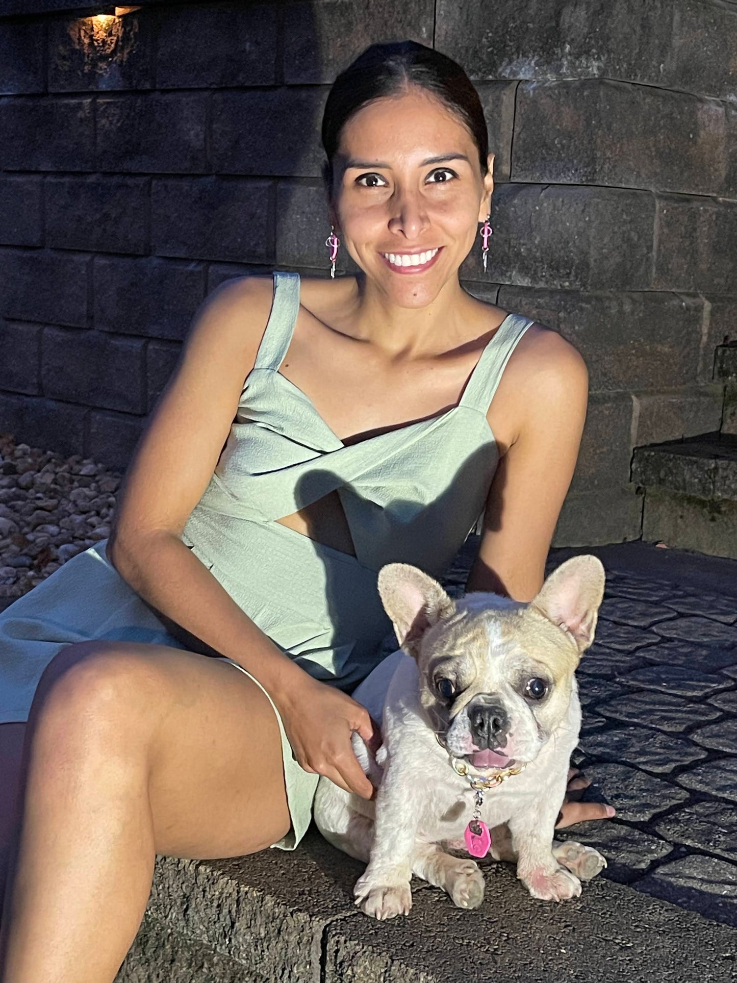 Pet Earrings10