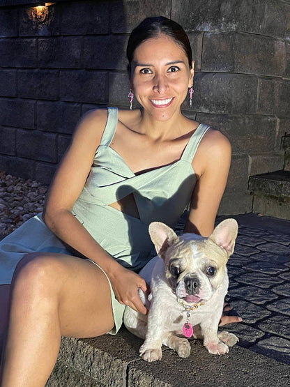 Pet Earrings10